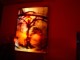 Thumbs/tn_DSC00976.jpg