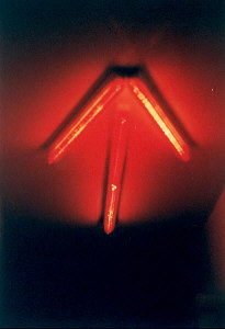 ../Images/21.jpg