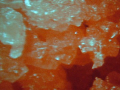 ../Images/vorspiel0605050017.jpg